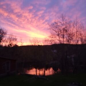 Welcome, New? Please read, Thank you